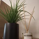 Artistika On The Apartment *